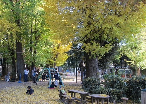 秋の園庭.JPG