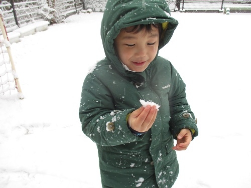 雪ってどんな味？.JPG