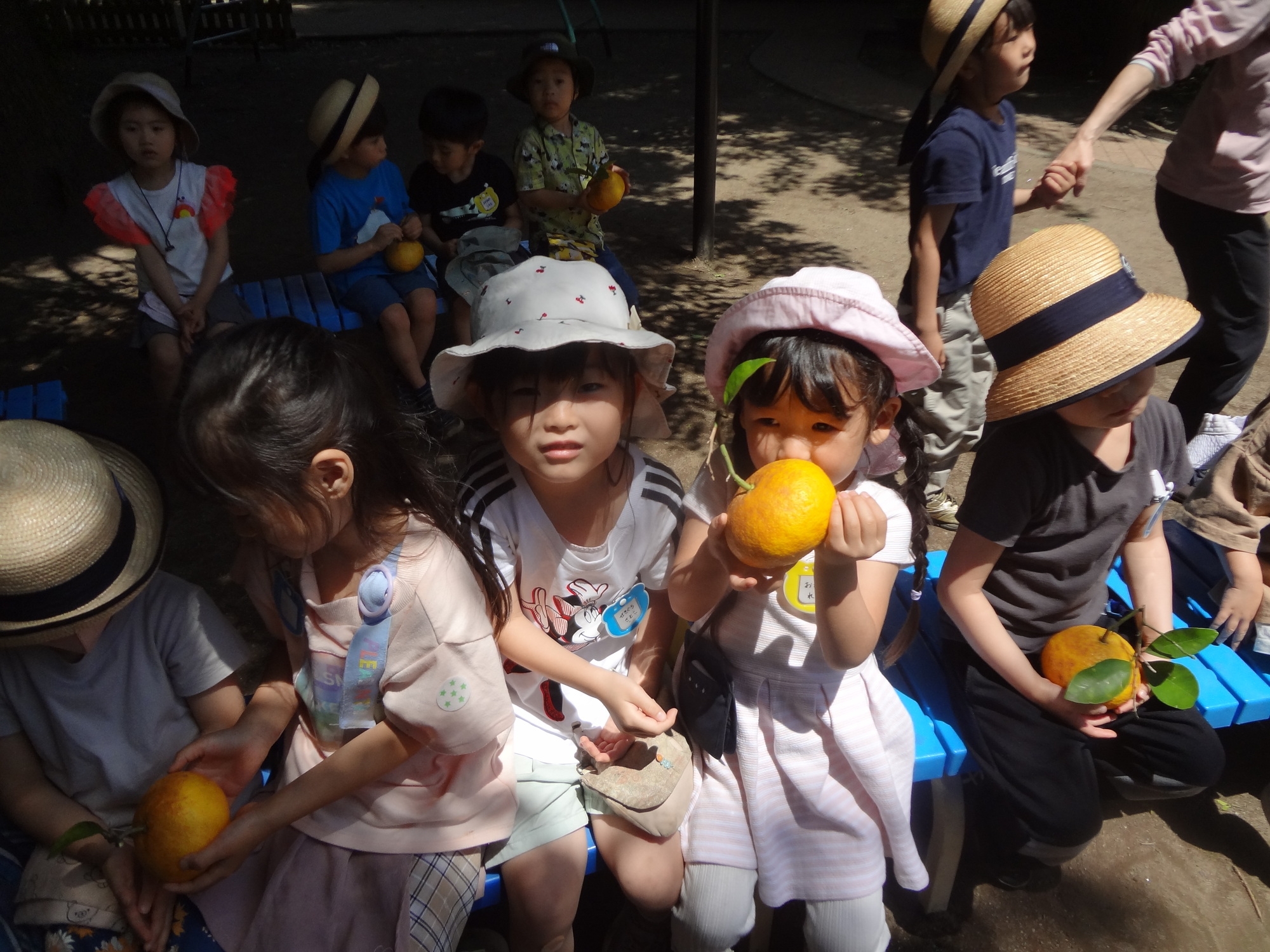 DSC05196.jpg
