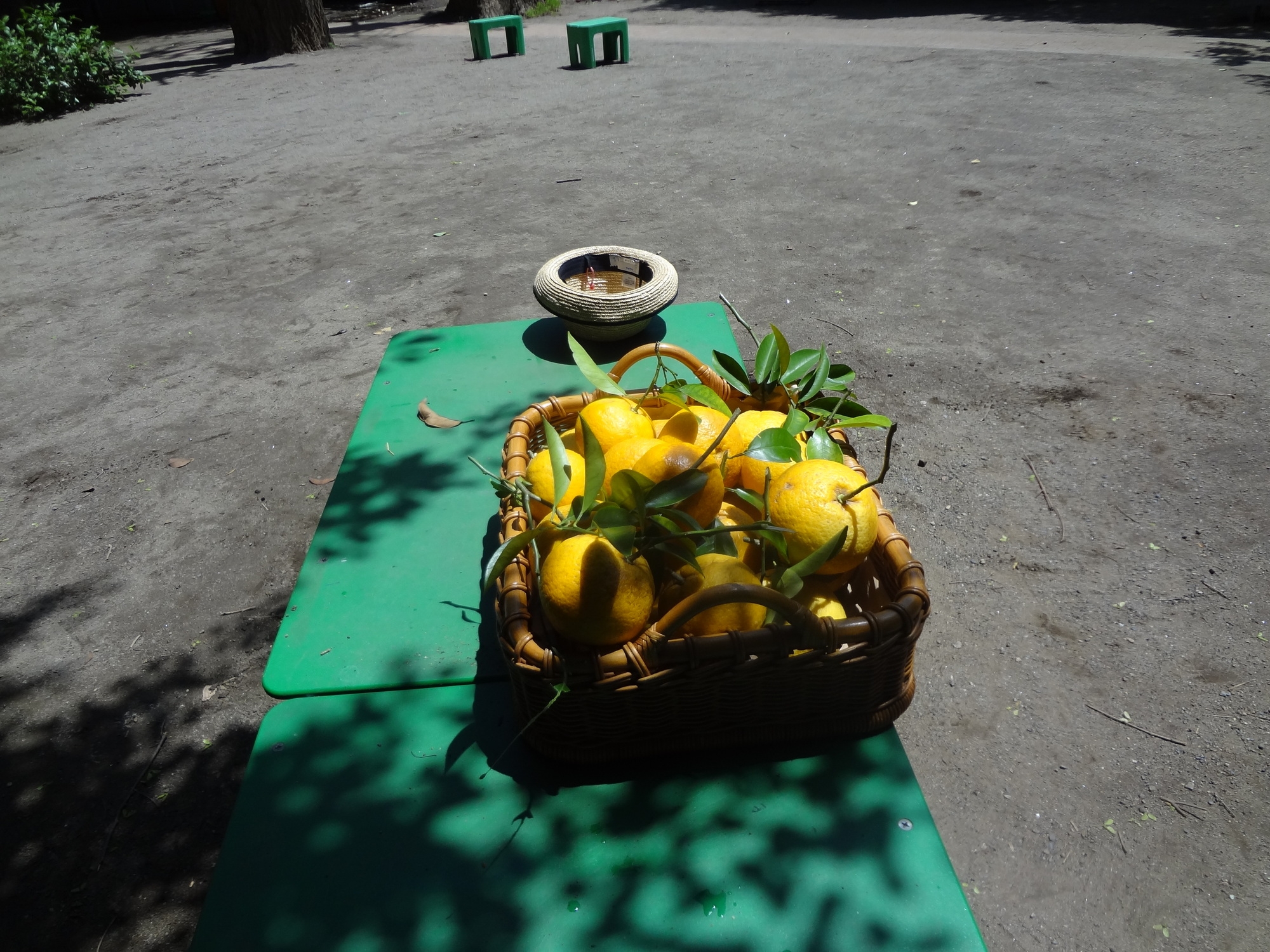 DSC05199.jpg