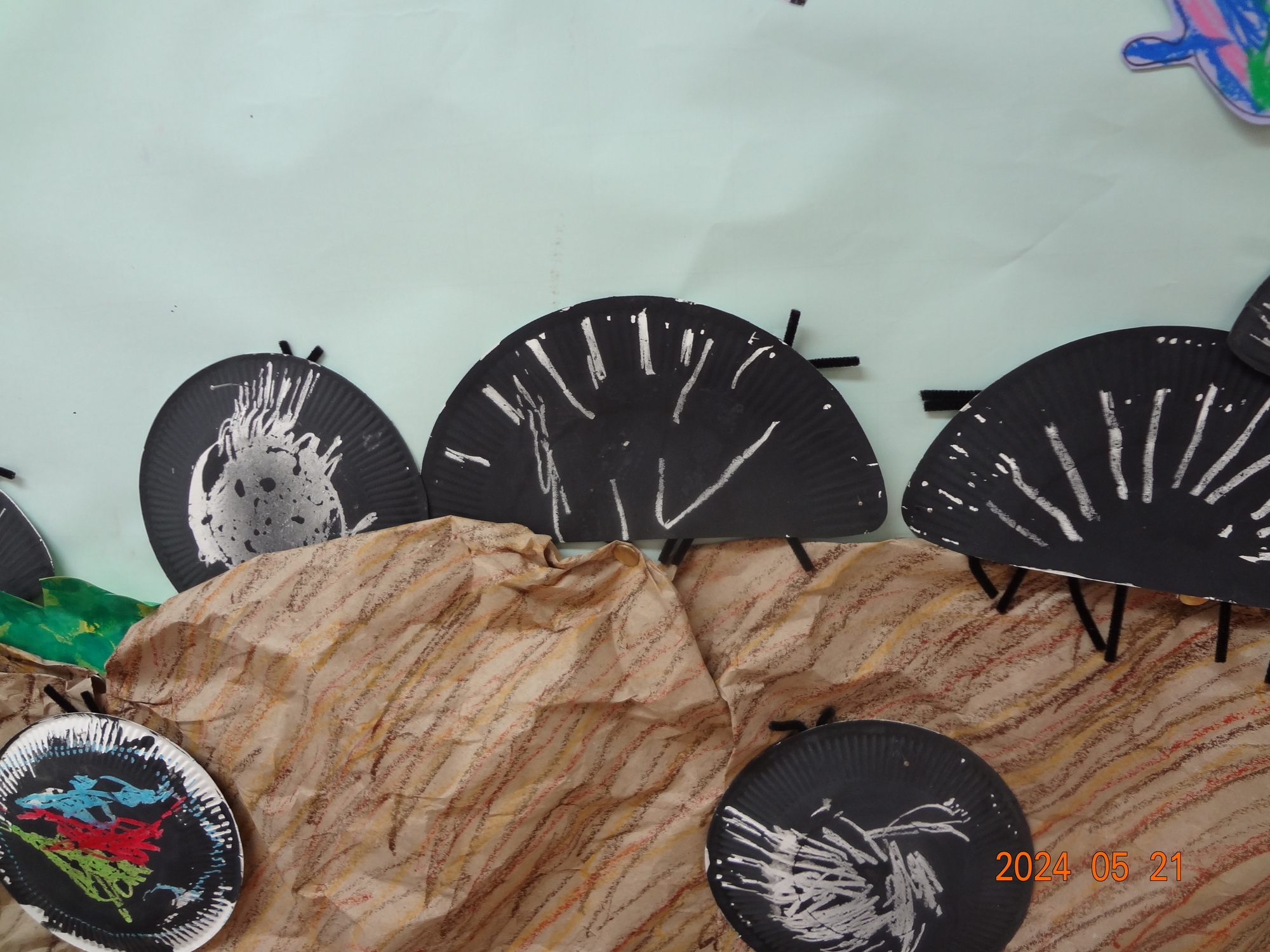 DSC05205.jpg