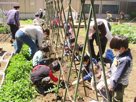 草苑幼稚園