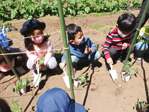 草苑幼稚園