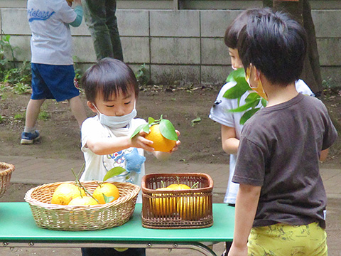 草苑幼稚園