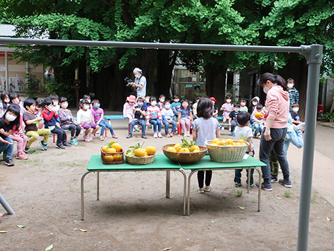 草苑幼稚園