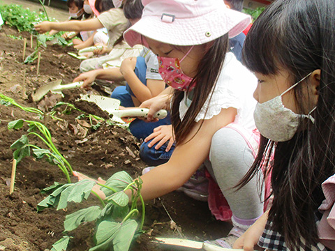 草苑幼稚園