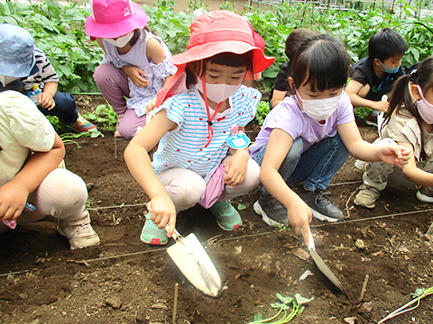 草苑幼稚園