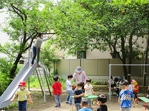 草苑幼稚園