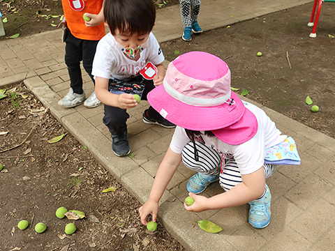 草苑幼稚園